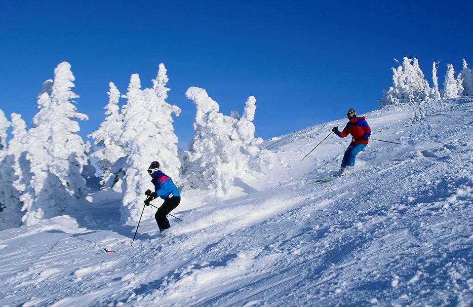Ski