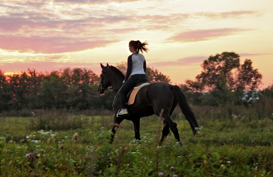 Horse Riding